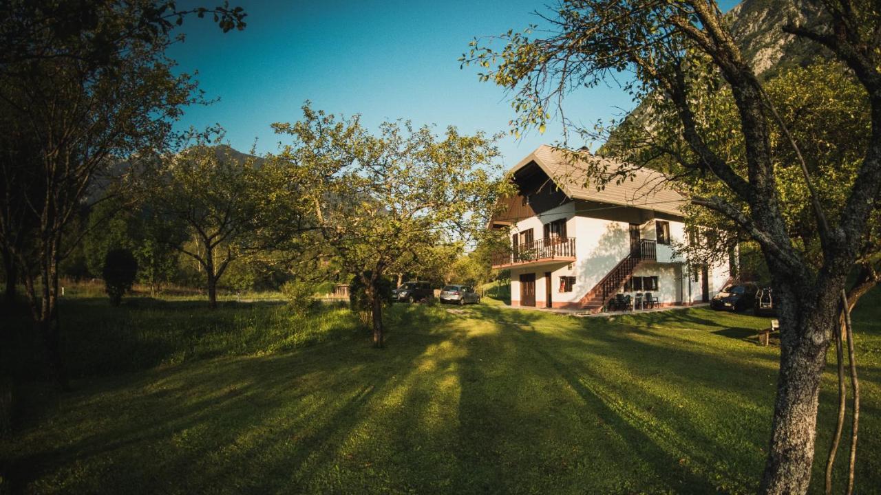 索卡Roja House公寓 外观 照片